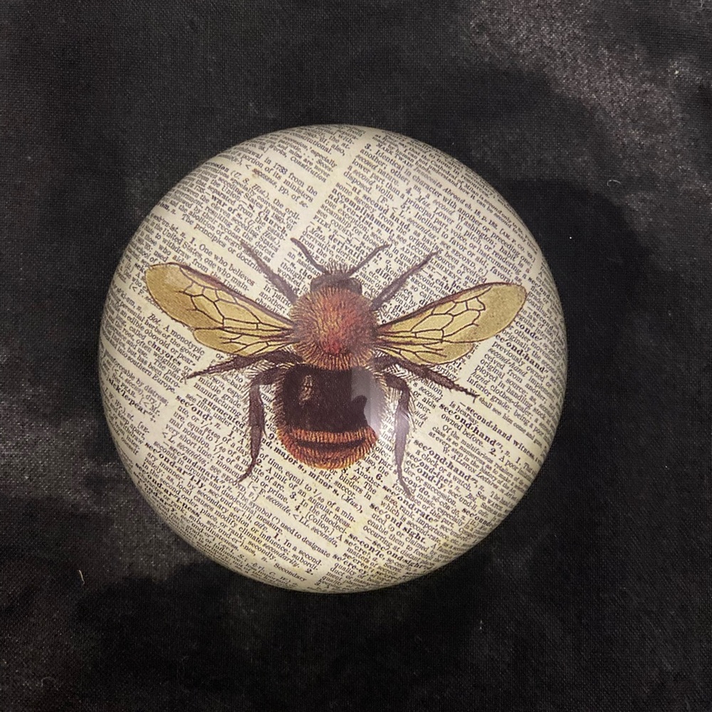 Bumblebee 🐝 Insect Paperweight - Picture 2 of 3